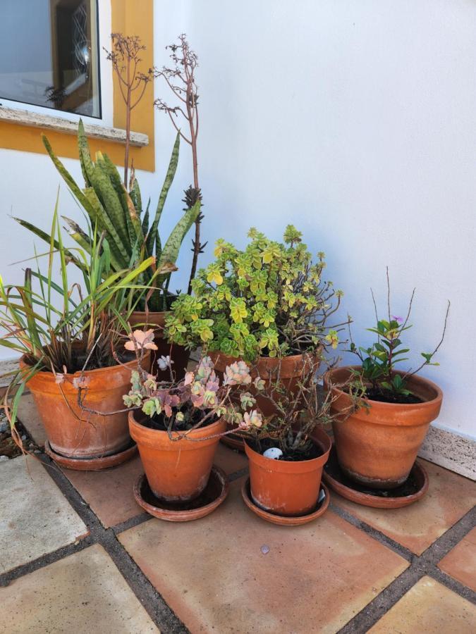 קארבואירו Quinta Das Amendoas מראה חיצוני תמונה