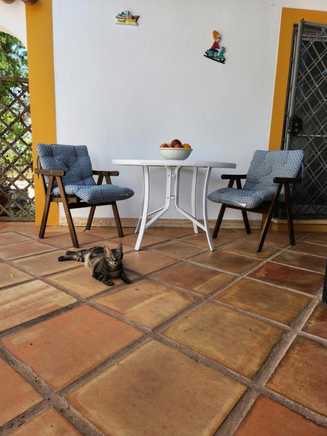 קארבואירו Quinta Das Amendoas מראה חיצוני תמונה