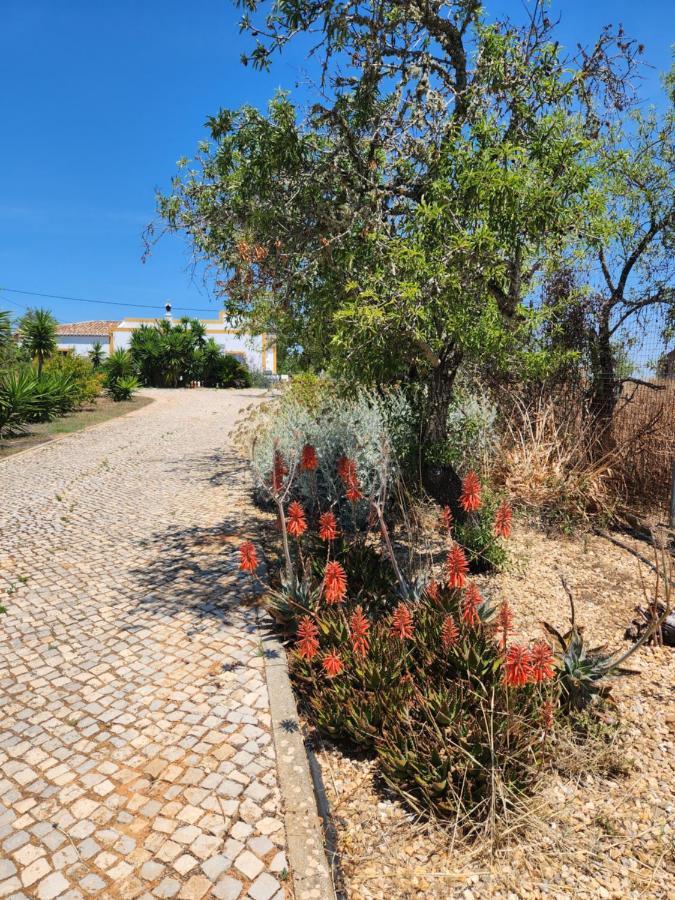קארבואירו Quinta Das Amendoas מראה חיצוני תמונה