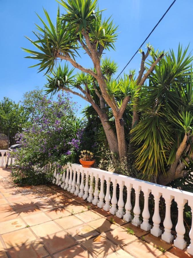 קארבואירו Quinta Das Amendoas מראה חיצוני תמונה
