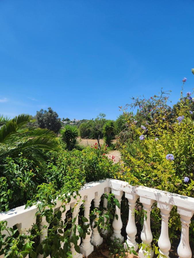 קארבואירו Quinta Das Amendoas מראה חיצוני תמונה